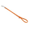Jelly Pet Grooming Loop- Fits Most Tubs/Tables -Groomerspro Shop 1444 Jelly Pet GroomingLoop HunterOrange 12974.1672341875