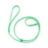 Jelly Pet Grooming Lead 2 Jelly Pet Grooming Lead -Groomerspro Shop 1453 JellyPet GroomingLead LimeGreen 56345.1632429790