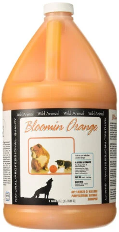 Wild Animal Bloomin Orange Shampoo | Dilutes 50:1