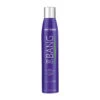 Artero Big Bang | Volumizing Spray | H725 -Groomerspro Shop Artero BigBang Web 15415.1651683222