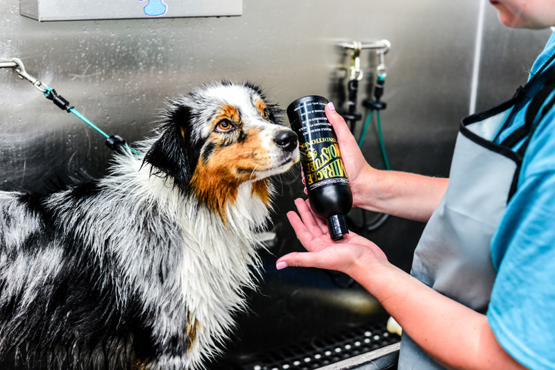 Front Page -Groomerspro Shop DSC 8132 20 10640