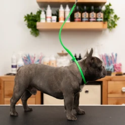 Jelly Pet Grooming Loop- Fits Most Tubs/Tables -Groomerspro Shop JP Listing Loop Table 26821.1646679622