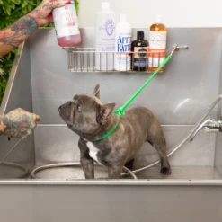 Jelly Pet Grooming Loop- Fits Most Tubs/Tables -Groomerspro Shop JP Listing Loop Tub1 60580.1646679616