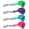 Jelly Pet Grooming Loop Safety Tethers -Groomerspro Shop Jelly Pet Tether group shot 34669.1675815043