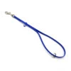 Jelly Pet Grooming Loop With Ring - Fits Groomers Helper -Groomerspro Shop Ring blue web 66451.1632430065