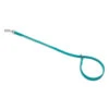 Jelly Pet Grooming Loop - Choker/Slip Style -Groomerspro Shop Slip Teal 05300.1611877624